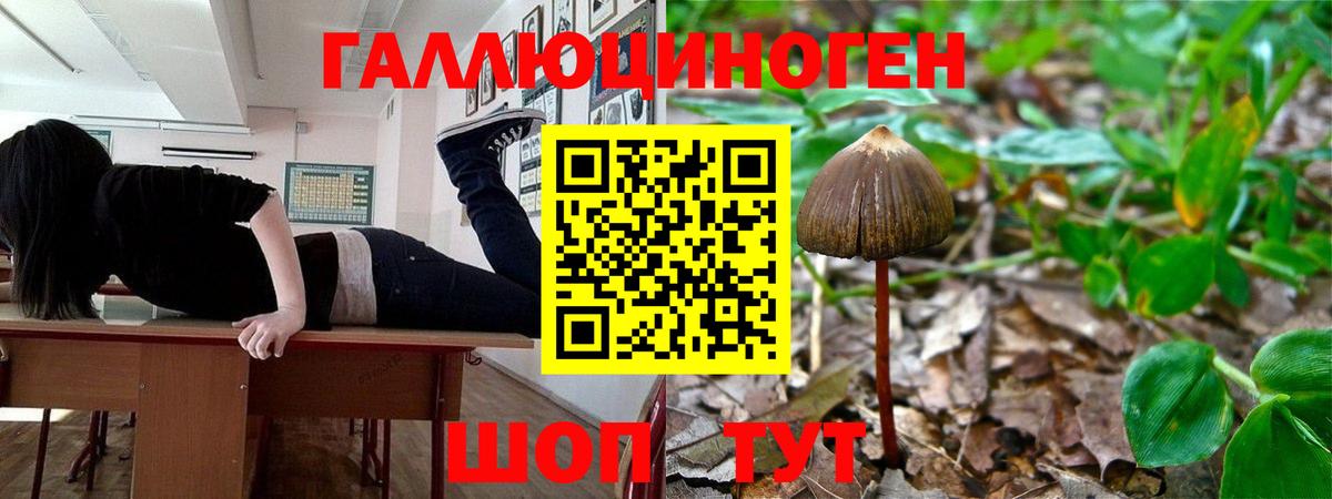 Галлюциногенные грибы мухоморы  Вход с VPN  Мценск 
